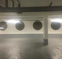 IMG 7550