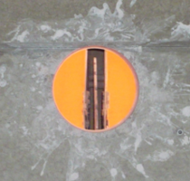 shapeimage 47